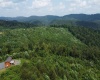 31 Burch Hill Road, Terra Alta, West Virginia 26764, 0 , 0 ,0,Lots/land,For Sale,Burch Hill,0,10166366