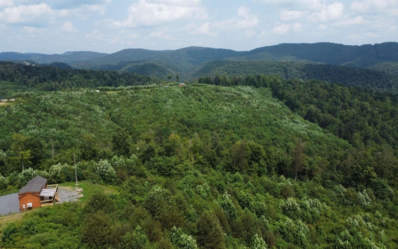 31 Burch Hill Road, Terra Alta, West Virginia 26764, 0 , 0 ,0,Lots/land,For Sale,Burch Hill,0,10166366