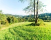 TBD Ministers Run Road, Rivesville, West Virginia 26588, 2 Bedrooms Bedrooms, 5 Rooms Rooms,2 BathroomsBathrooms,Single Family Detached,For Sale,Ministers Run,0,10166365 TBD Ministers Run Road, Rivesville, West Virginia 26588, 2 Bedrooms Bedrooms, 5 Rooms Rooms,2 BathroomsBathrooms,Single Family Detached,For Sale,Ministers Run,0,10166365