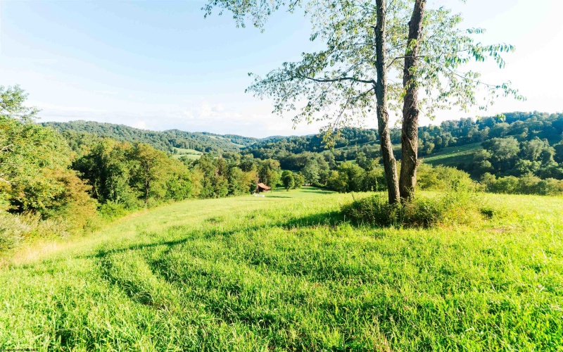 TBD Ministers Run Road, Rivesville, West Virginia 26588, 2 Bedrooms Bedrooms, 5 Rooms Rooms,2 BathroomsBathrooms,Single Family Detached,For Sale,Ministers Run,0,10166365 TBD Ministers Run Road, Rivesville, West Virginia 26588, 2 Bedrooms Bedrooms, 5 Rooms Rooms,2 BathroomsBathrooms,Single Family Detached,For Sale,Ministers Run,0,10166365