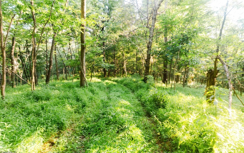 TBD Ministers Run Road, Rivesville, West Virginia 26588, 2 Bedrooms Bedrooms, 5 Rooms Rooms,2 BathroomsBathrooms,Single Family Detached,For Sale,Ministers Run,0,10166365 TBD Ministers Run Road, Rivesville, West Virginia 26588, 2 Bedrooms Bedrooms, 5 Rooms Rooms,2 BathroomsBathrooms,Single Family Detached,For Sale,Ministers Run,0,10166365