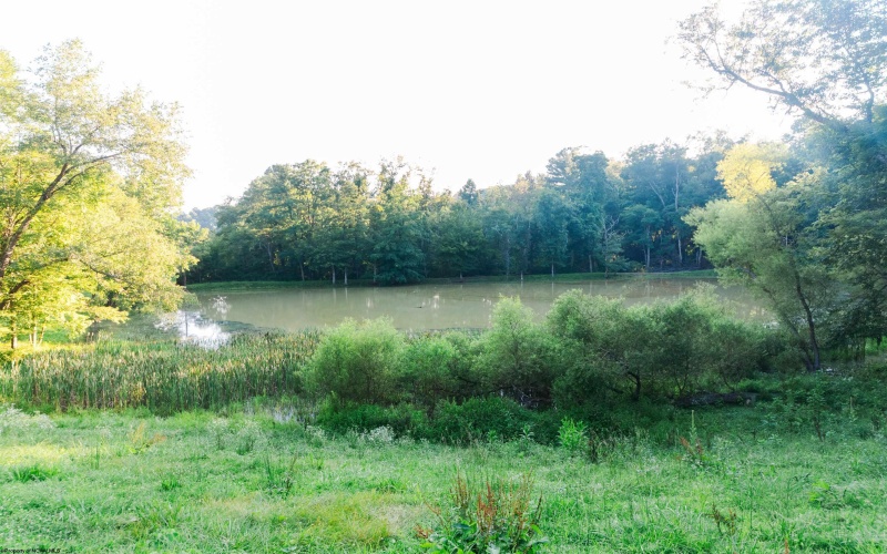 TBD Ministers Run Road, Rivesville, West Virginia 26588, 2 Bedrooms Bedrooms, 5 Rooms Rooms,2 BathroomsBathrooms,Single Family Detached,For Sale,Ministers Run,0,10166365 TBD Ministers Run Road, Rivesville, West Virginia 26588, 2 Bedrooms Bedrooms, 5 Rooms Rooms,2 BathroomsBathrooms,Single Family Detached,For Sale,Ministers Run,0,10166365