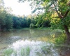 TBD Ministers Run Road, Rivesville, West Virginia 26588, 2 Bedrooms Bedrooms, 5 Rooms Rooms,2 BathroomsBathrooms,Single Family Detached,For Sale,Ministers Run,0,10166365 TBD Ministers Run Road, Rivesville, West Virginia 26588, 2 Bedrooms Bedrooms, 5 Rooms Rooms,2 BathroomsBathrooms,Single Family Detached,For Sale,Ministers Run,0,10166365