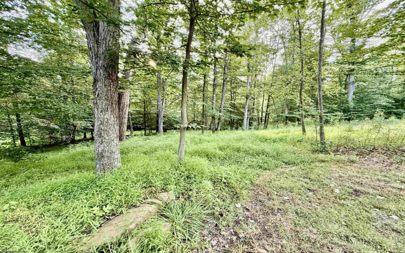 323 Long Run Road, Fairmont, West Virginia 26554, 3 Bedrooms Bedrooms, 7 Rooms Rooms,2 BathroomsBathrooms,Single Family Detached,For Sale,Long Run,0,10166358 323 Long Run Road, Fairmont, West Virginia 26554, 3 Bedrooms Bedrooms, 7 Rooms Rooms,2 BathroomsBathrooms,Single Family Detached,For Sale,Long Run,0,10166358