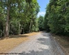 TBD River Road, Junior, West Virginia 26275, 0 , 0 ,0,Lots/land,For Sale,River,0,10166370