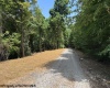 TBD River Road, Junior, West Virginia 26275, 0 , 0 ,0,Lots/land,For Sale,River,0,10166370