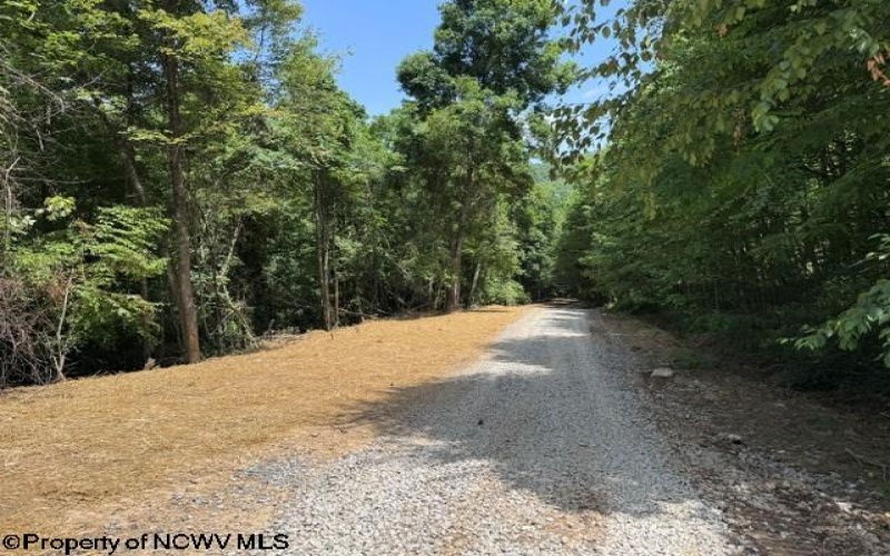 TBD River Road, Junior, West Virginia 26275, 0 , 0 ,0,Lots/land,For Sale,River,0,10166370