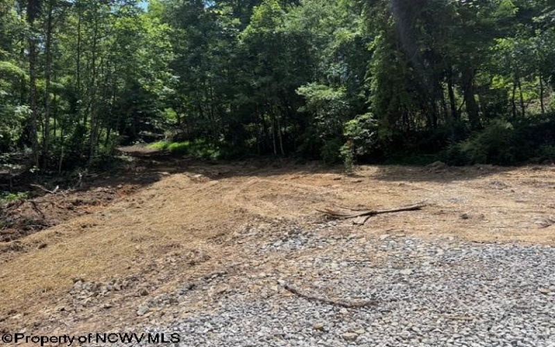 TBD River Road, Junior, West Virginia 26275, 0 , 0 ,0,Lots/land,For Sale,River,0,10166370