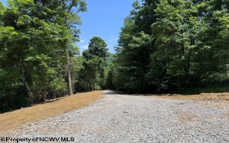 TBD River Road, Junior, West Virginia 26275, 0 , 0 ,0,Lots/land,For Sale,River,0,10166370