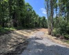 TBD River Road, Junior, West Virginia 26275, 0 , 0 ,0,Lots/land,For Sale,River,0,10166370