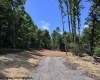 TBD River Road, Junior, West Virginia 26275, 0 , 0 ,0,Lots/land,For Sale,River,0,10166370
