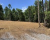 TBD River Road, Junior, West Virginia 26275, 0 , 0 ,0,Lots/land,For Sale,River,0,10166370