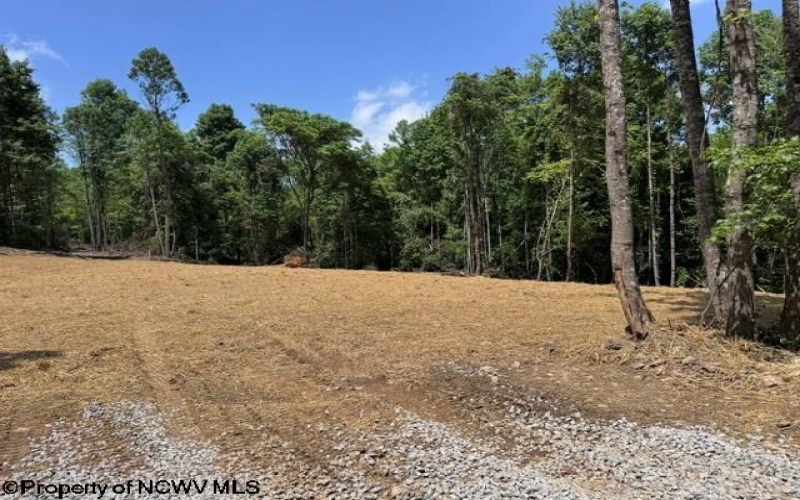 TBD River Road, Junior, West Virginia 26275, 0 , 0 ,0,Lots/land,For Sale,River,0,10166370
