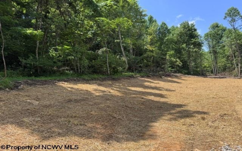 TBD River Road, Junior, West Virginia 26275, 0 , 0 ,0,Lots/land,For Sale,River,0,10166370