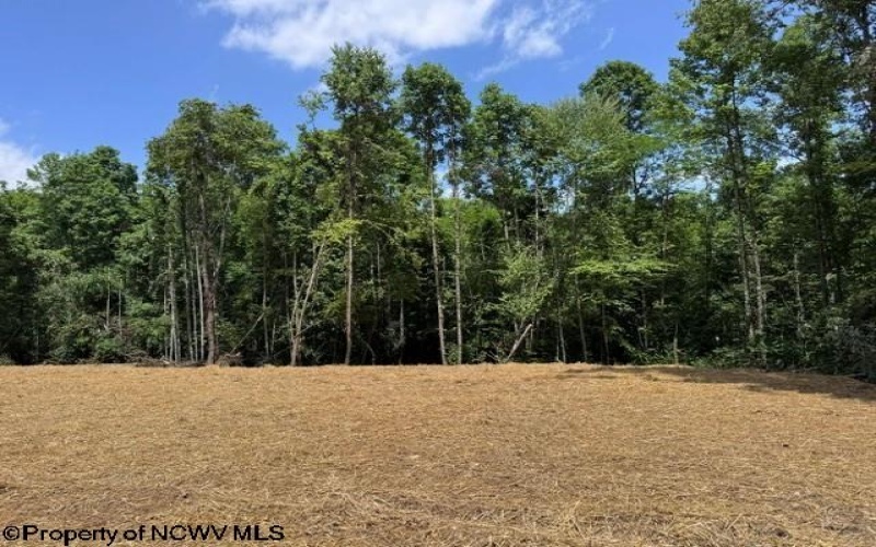 TBD River Road, Junior, West Virginia 26275, 0 , 0 ,0,Lots/land,For Sale,River,0,10166370