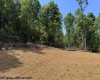 TBD River Road, Junior, West Virginia 26275, 0 , 0 ,0,Lots/land,For Sale,River,0,10166370