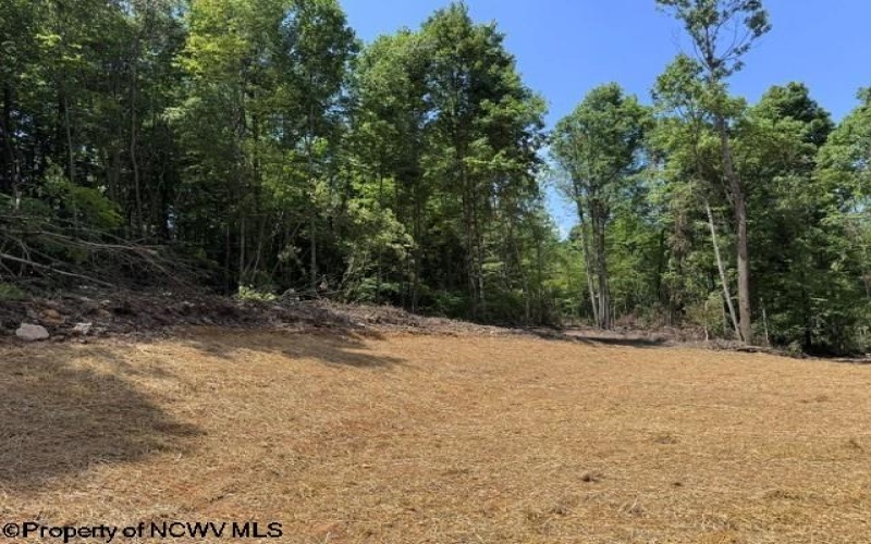 TBD River Road, Junior, West Virginia 26275, 0 , 0 ,0,Lots/land,For Sale,River,0,10166370