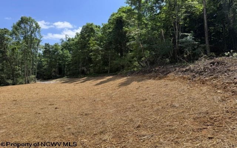 TBD River Road, Junior, West Virginia 26275, 0 , 0 ,0,Lots/land,For Sale,River,0,10166370