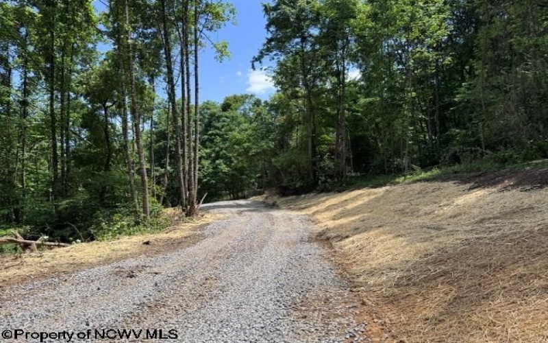 TBD River Road, Junior, West Virginia 26275, 0 , 0 ,0,Lots/land,For Sale,River,0,10166370