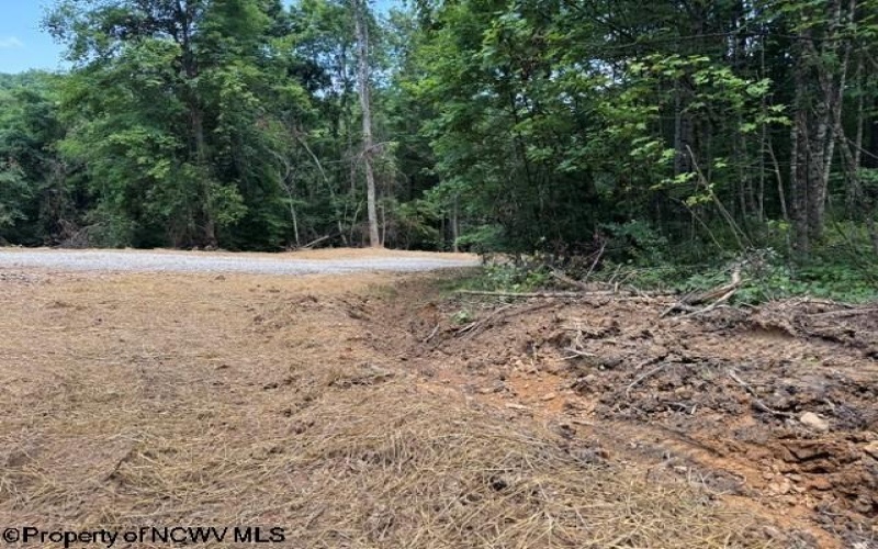 TBD River Road, Junior, West Virginia 26275, 0 , 0 ,0,Lots/land,For Sale,River,0,10166370