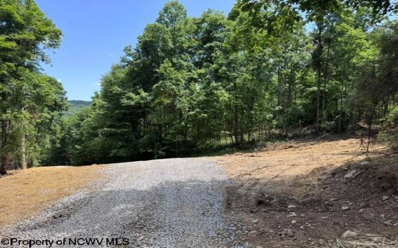 TBD River Road, Junior, West Virginia 26275, 0 , 0 ,0,Lots/land,For Sale,River,0,10166370