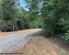TBD River Road, Junior, West Virginia 26275, 0 , 0 ,0,Lots/land,For Sale,River,0,10166370