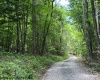 TBD River Road, Junior, West Virginia 26275, 0 , 0 ,0,Lots/land,For Sale,River,0,10166370