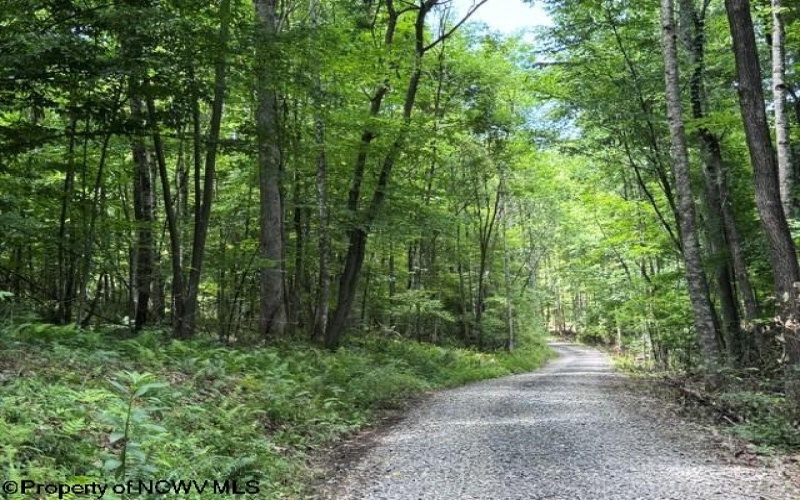 TBD River Road, Junior, West Virginia 26275, 0 , 0 ,0,Lots/land,For Sale,River,0,10166370