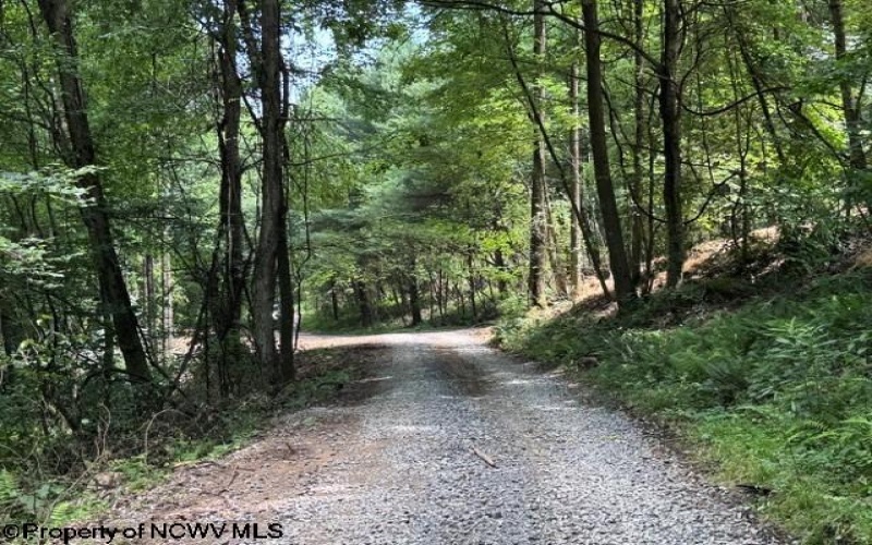 TBD River Road, Junior, West Virginia 26275, 0 , 0 ,0,Lots/land,For Sale,River,0,10166370