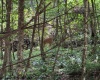 TBD River Road, Junior, West Virginia 26275, 0 , 0 ,0,Lots/land,For Sale,River,0,10166370