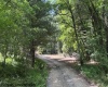 TBD River Road, Junior, West Virginia 26275, 0 , 0 ,0,Lots/land,For Sale,River,0,10166370