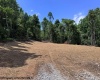 TBD River Road, Junior, West Virginia 26275, 0 , 0 ,0,Lots/land,For Sale,River,0,10166370