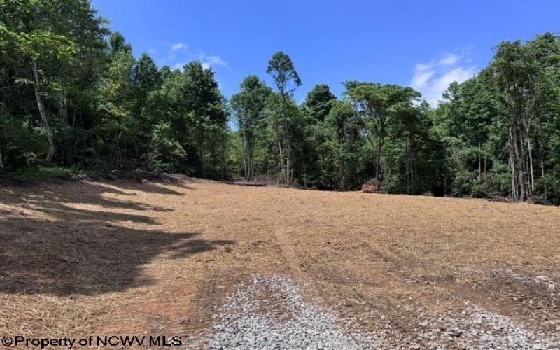 TBD River Road, Junior, West Virginia 26275, 0 , 0 ,0,Lots/land,For Sale,River,0,10166370