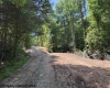 TBD River Road, Junior, West Virginia 26275, 0 , 0 ,0,Lots/land,For Sale,River,0,10166370