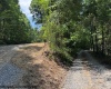 TBD River Road, Junior, West Virginia 26275, 0 , 0 ,0,Lots/land,For Sale,River,0,10166370