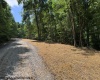 TBD River Road, Junior, West Virginia 26275, 0 , 0 ,0,Lots/land,For Sale,River,0,10166370