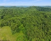 0 County Rd 32/22 Road, French Creek, West Virginia 26218, 0 , 0 ,0,Lots/land,For Sale,County Rd 32/22,0,10166382