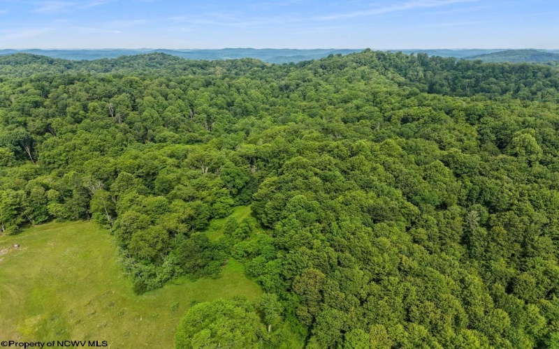 0 County Rd 32/22 Road, French Creek, West Virginia 26218, 0 , 0 ,0,Lots/land,For Sale,County Rd 32/22,0,10166382