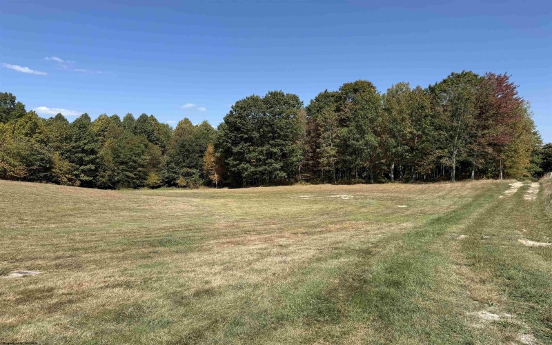 1125 Goff School Road, Belington, West Virginia 26250, 4 Bedrooms Bedrooms, 11 Rooms Rooms,2 BathroomsBathrooms,Single Family Detached,For Sale,Goff School,0,10166392