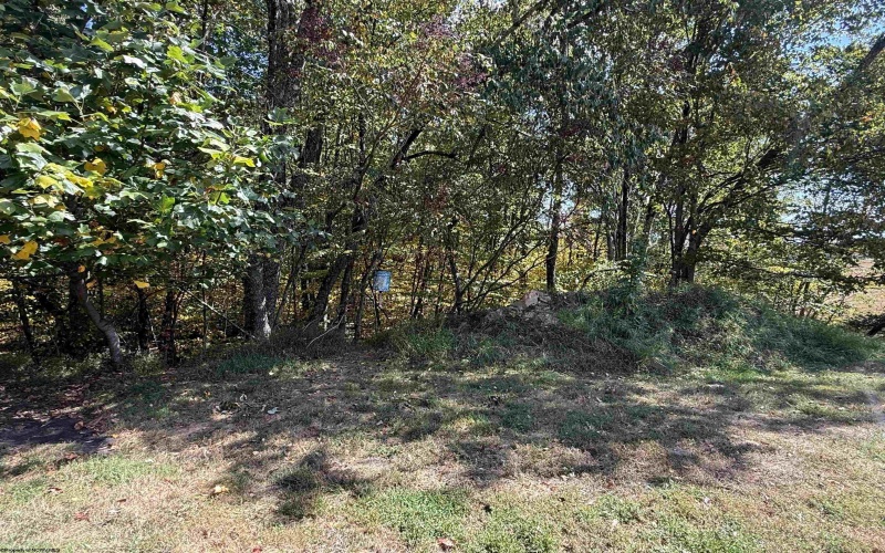 1125 Goff School Road, Belington, West Virginia 26250, 4 Bedrooms Bedrooms, 11 Rooms Rooms,2 BathroomsBathrooms,Single Family Detached,For Sale,Goff School,0,10166392