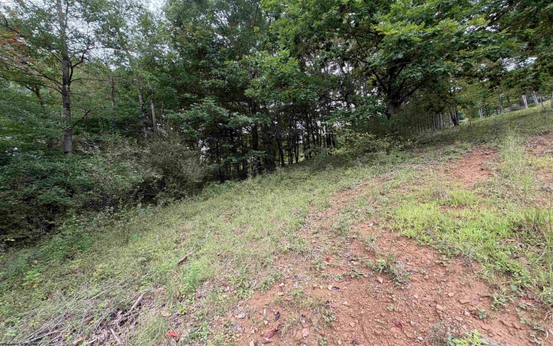 000 Doe Lane, Buckhannon, West Virginia 26201, 0 , 0 ,0,Lots/land,For Sale,Doe,0,10166415 000 Doe Lane, Buckhannon, West Virginia 26201, 0 , 0 ,0,Lots/land,For Sale,Doe,0,10166415