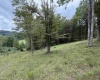 000 Doe Lane, Buckhannon, West Virginia 26201, 0 , 0 ,0,Lots/land,For Sale,Doe,0,10166415 000 Doe Lane, Buckhannon, West Virginia 26201, 0 , 0 ,0,Lots/land,For Sale,Doe,0,10166415