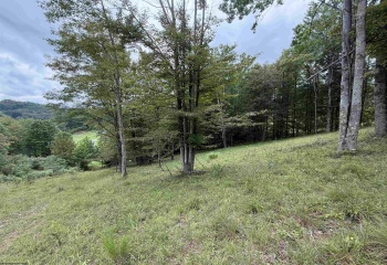 000 Doe Lane, Buckhannon, West Virginia 26201, 0 , 0 ,0,Lots/land,For Sale,Doe,0,10166415