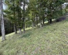 000 Doe Lane, Buckhannon, West Virginia 26201, 0 , 0 ,0,Lots/land,For Sale,Doe,0,10166415 000 Doe Lane, Buckhannon, West Virginia 26201, 0 , 0 ,0,Lots/land,For Sale,Doe,0,10166415