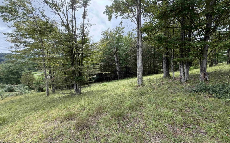 000 Doe Lane, Buckhannon, West Virginia 26201, 0 , 0 ,0,Lots/land,For Sale,Doe,0,10166415 000 Doe Lane, Buckhannon, West Virginia 26201, 0 , 0 ,0,Lots/land,For Sale,Doe,0,10166415