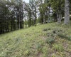 000 Doe Lane, Buckhannon, West Virginia 26201, 0 , 0 ,0,Lots/land,For Sale,Doe,0,10166415 000 Doe Lane, Buckhannon, West Virginia 26201, 0 , 0 ,0,Lots/land,For Sale,Doe,0,10166415