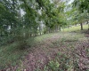 000 Doe Lane, Buckhannon, West Virginia 26201, 0 , 0 ,0,Lots/land,For Sale,Doe,0,10166415 000 Doe Lane, Buckhannon, West Virginia 26201, 0 , 0 ,0,Lots/land,For Sale,Doe,0,10166415