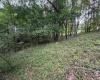 000 Doe Lane, Buckhannon, West Virginia 26201, 0 , 0 ,0,Lots/land,For Sale,Doe,0,10166415 000 Doe Lane, Buckhannon, West Virginia 26201, 0 , 0 ,0,Lots/land,For Sale,Doe,0,10166415