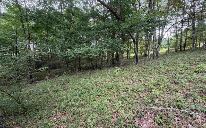 000 Doe Lane, Buckhannon, West Virginia 26201, 0 , 0 ,0,Lots/land,For Sale,Doe,0,10166415 000 Doe Lane, Buckhannon, West Virginia 26201, 0 , 0 ,0,Lots/land,For Sale,Doe,0,10166415