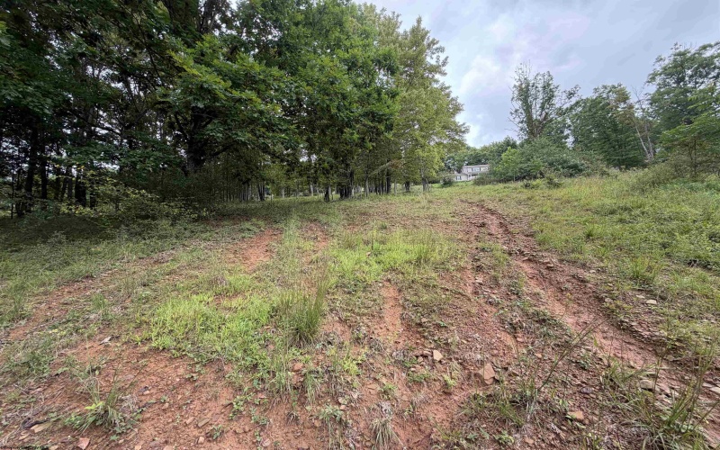 000 Doe Lane, Buckhannon, West Virginia 26201, 0 , 0 ,0,Lots/land,For Sale,Doe,0,10166415 000 Doe Lane, Buckhannon, West Virginia 26201, 0 , 0 ,0,Lots/land,For Sale,Doe,0,10166415